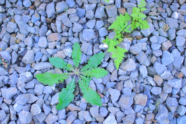 砂利の下には除草シートを敷いて除草効果をアップ！